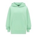PISTACCIO DREAM LONGLINE HOODIE